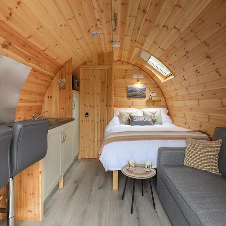 Caban Tirion Villa Machynlleth Eksteriør billede